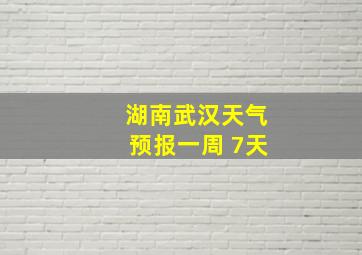 湖南武汉天气预报一周 7天